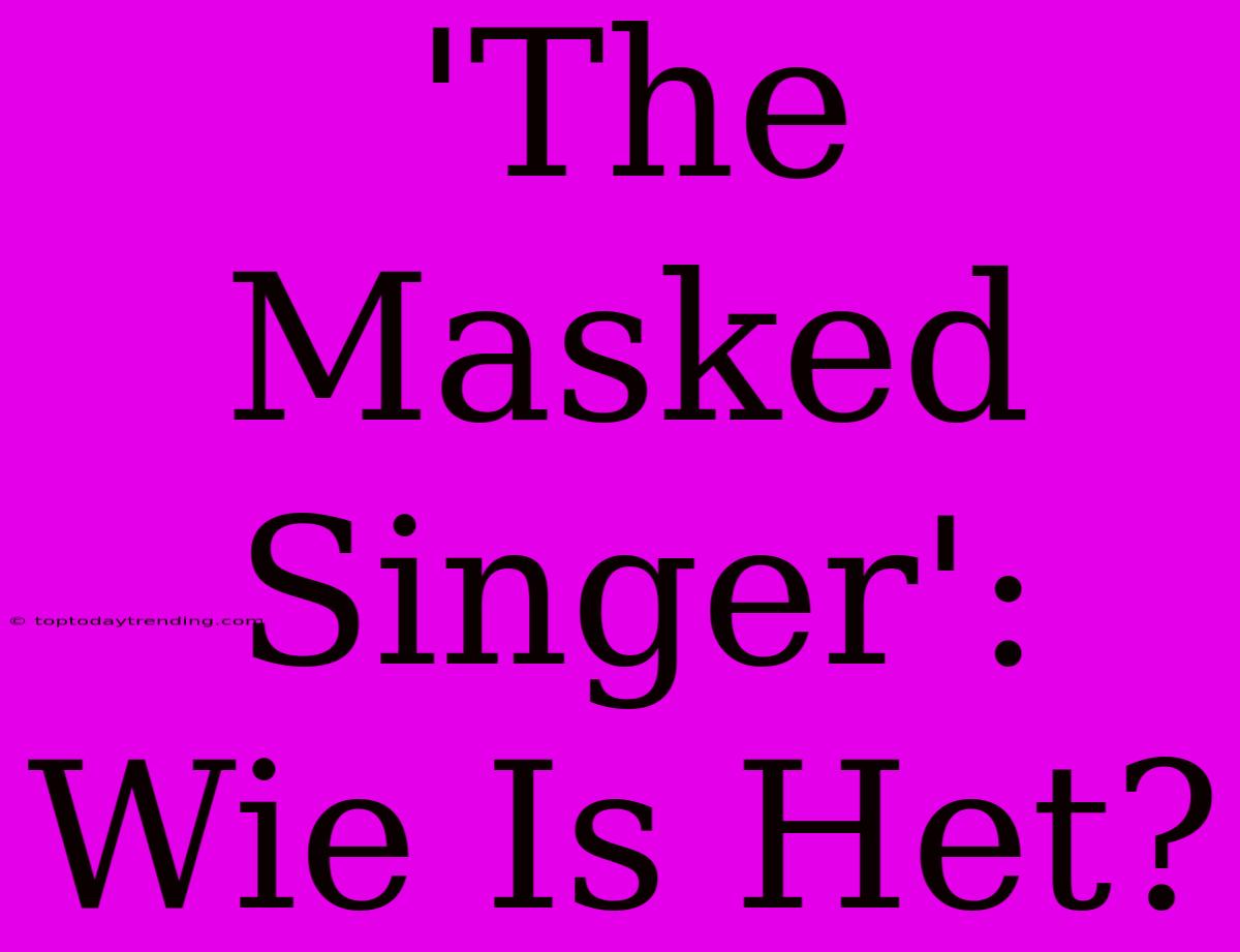 'The Masked Singer':  Wie Is Het?