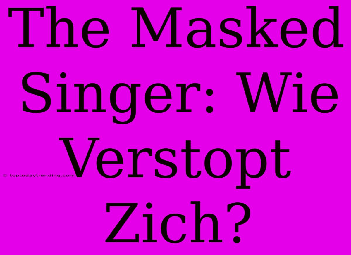 The Masked Singer: Wie Verstopt Zich?