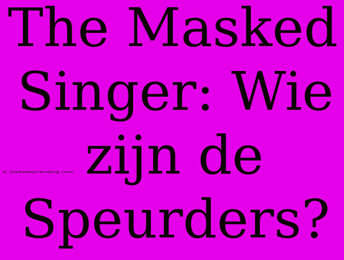 The Masked Singer: Wie Zijn De Speurders?