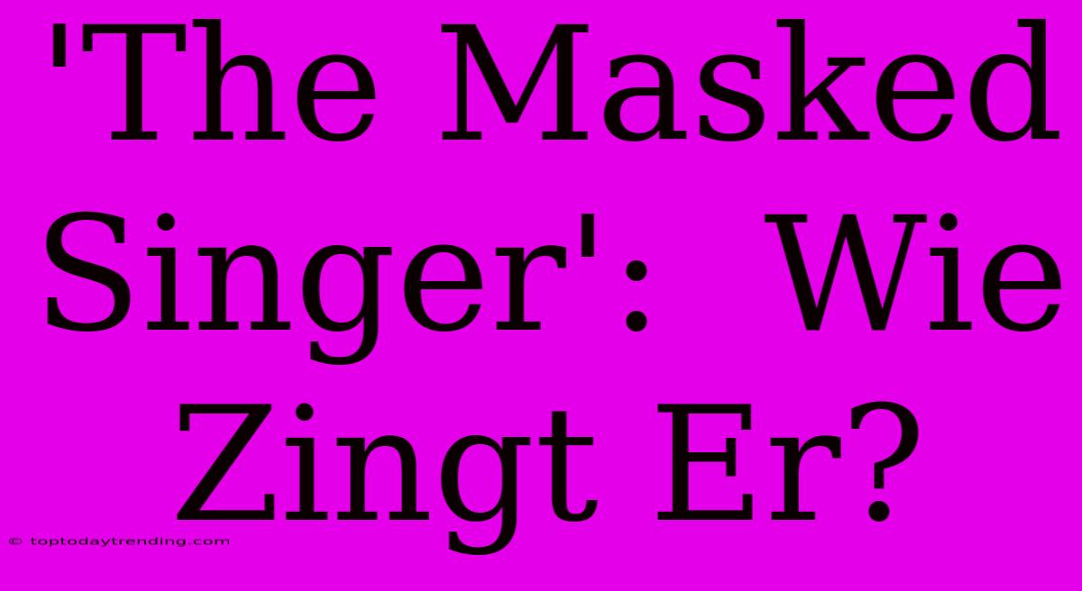 'The Masked Singer':  Wie Zingt Er?