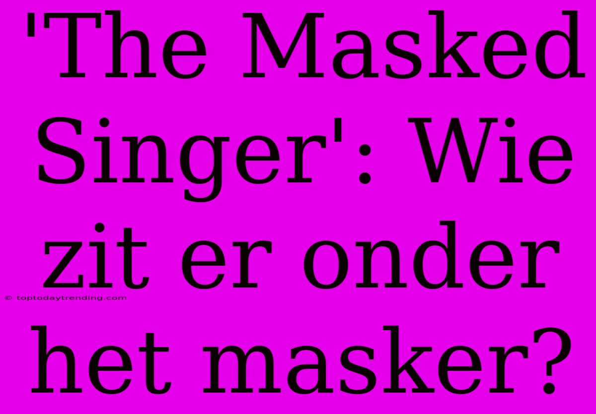 'The Masked Singer': Wie Zit Er Onder Het Masker?