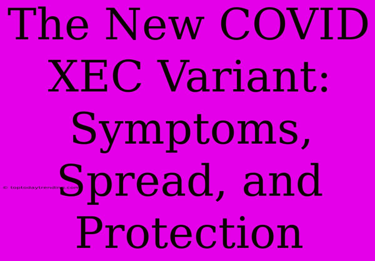 The New COVID XEC Variant:  Symptoms, Spread, And Protection