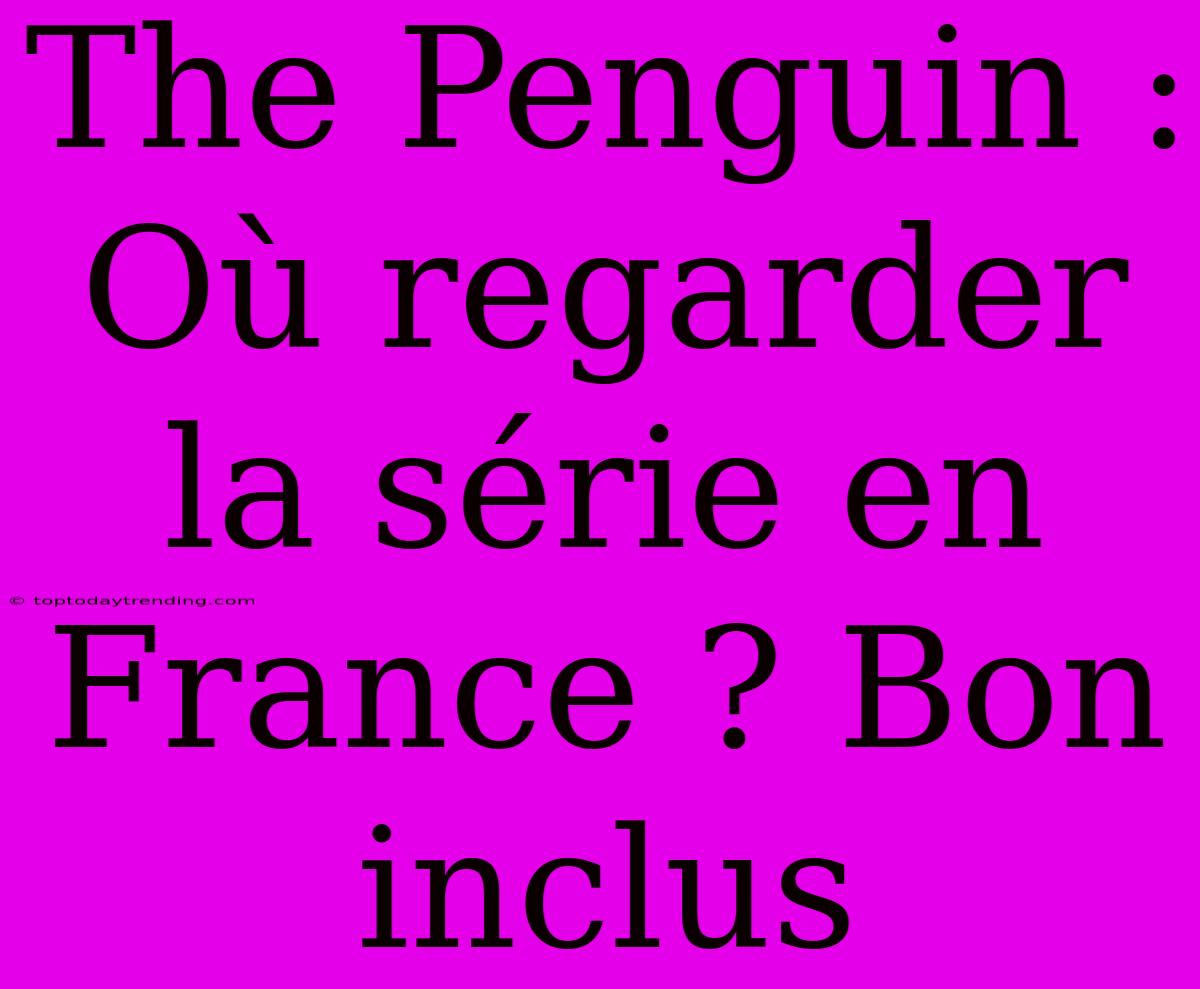 The Penguin : Où Regarder La Série En France ? Bon Inclus