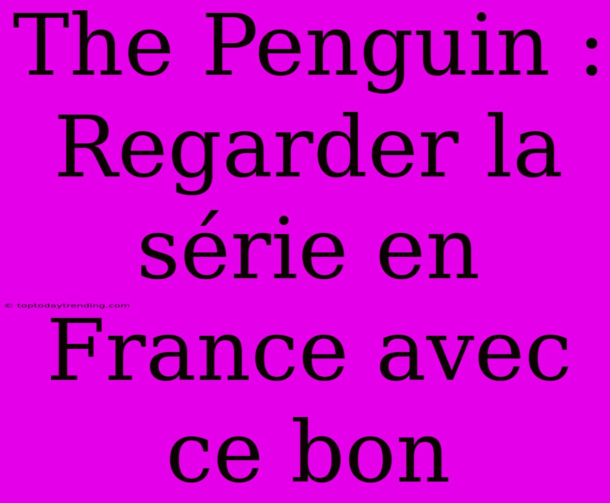 The Penguin : Regarder La Série En France Avec Ce Bon