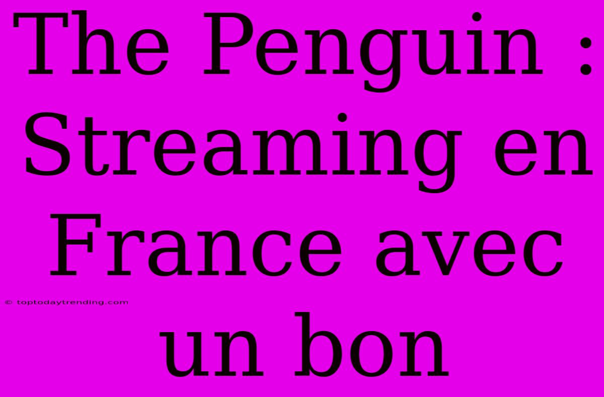 The Penguin : Streaming En France Avec Un Bon