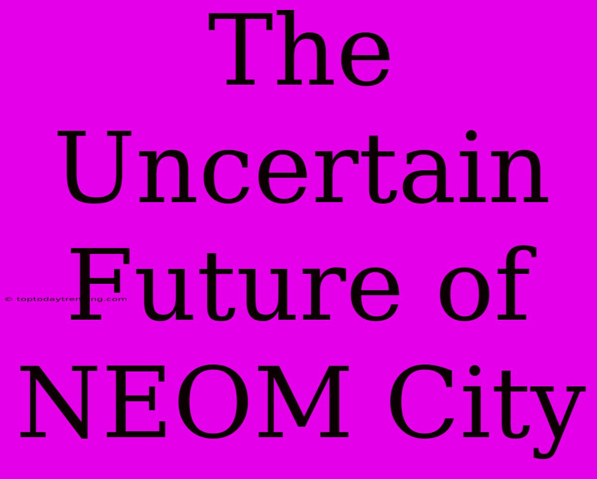 The Uncertain Future Of NEOM City