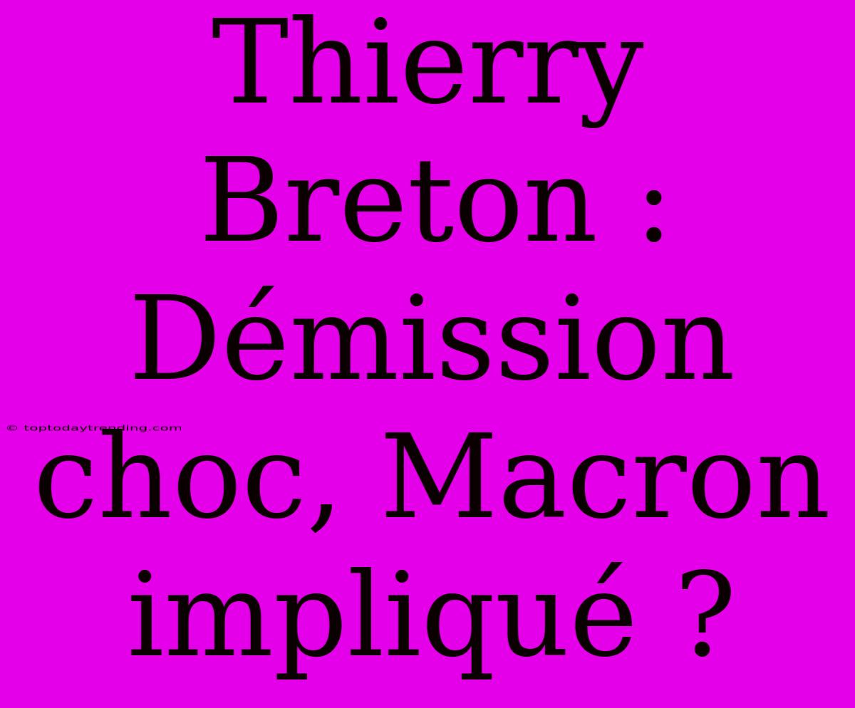 Thierry Breton : Démission Choc, Macron Impliqué ?