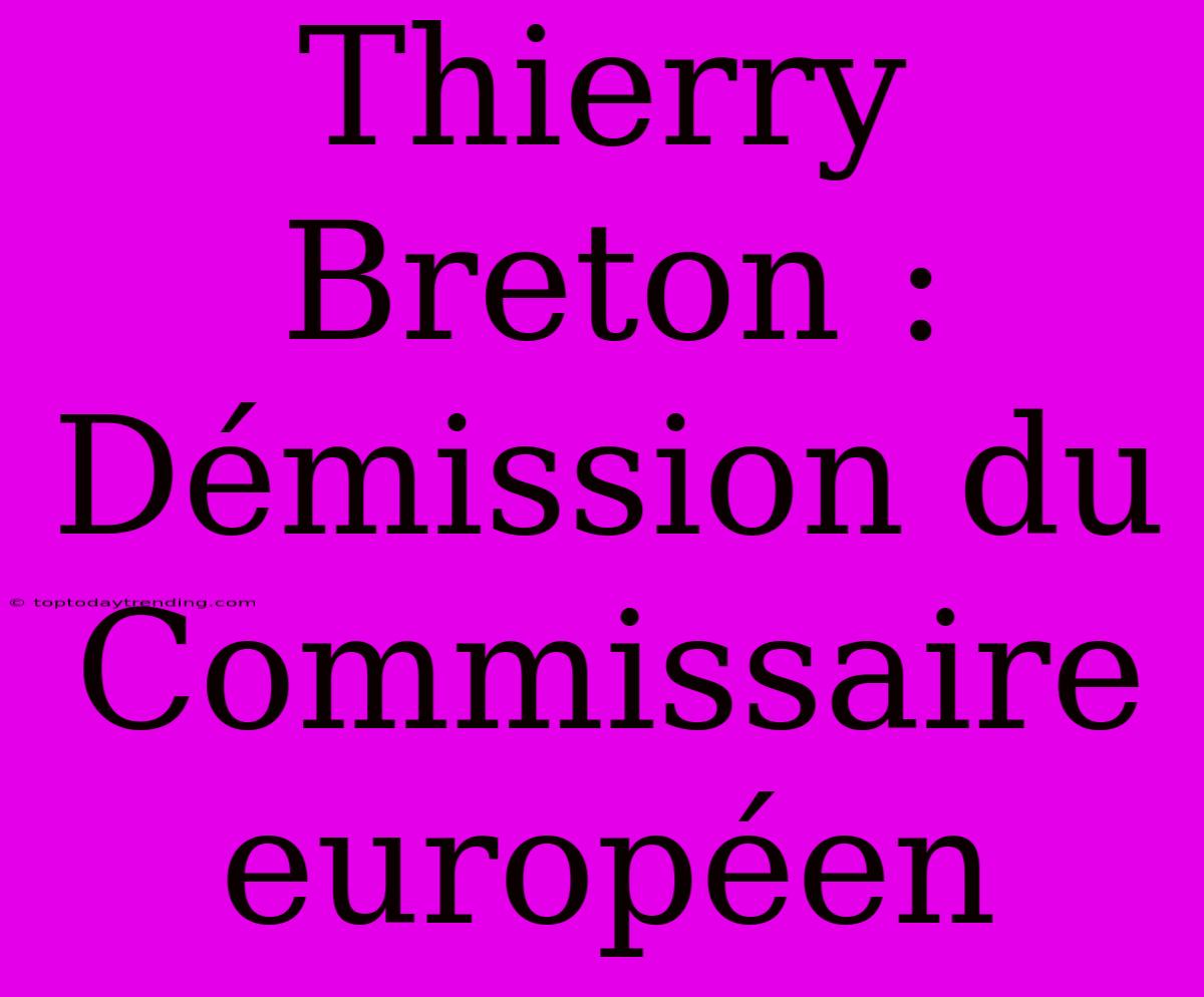 Thierry Breton : Démission Du Commissaire Européen