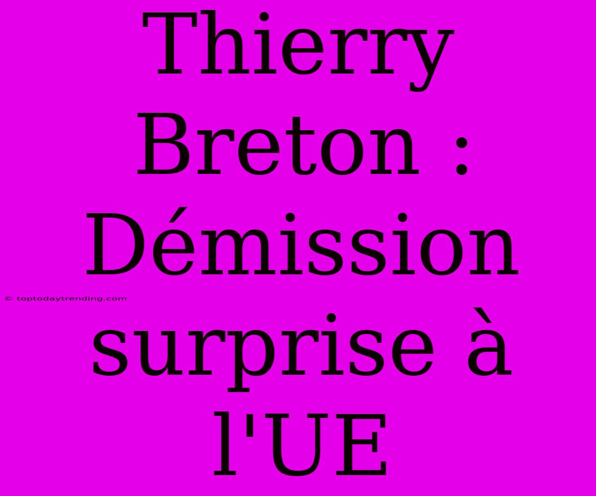 Thierry Breton : Démission Surprise À L'UE