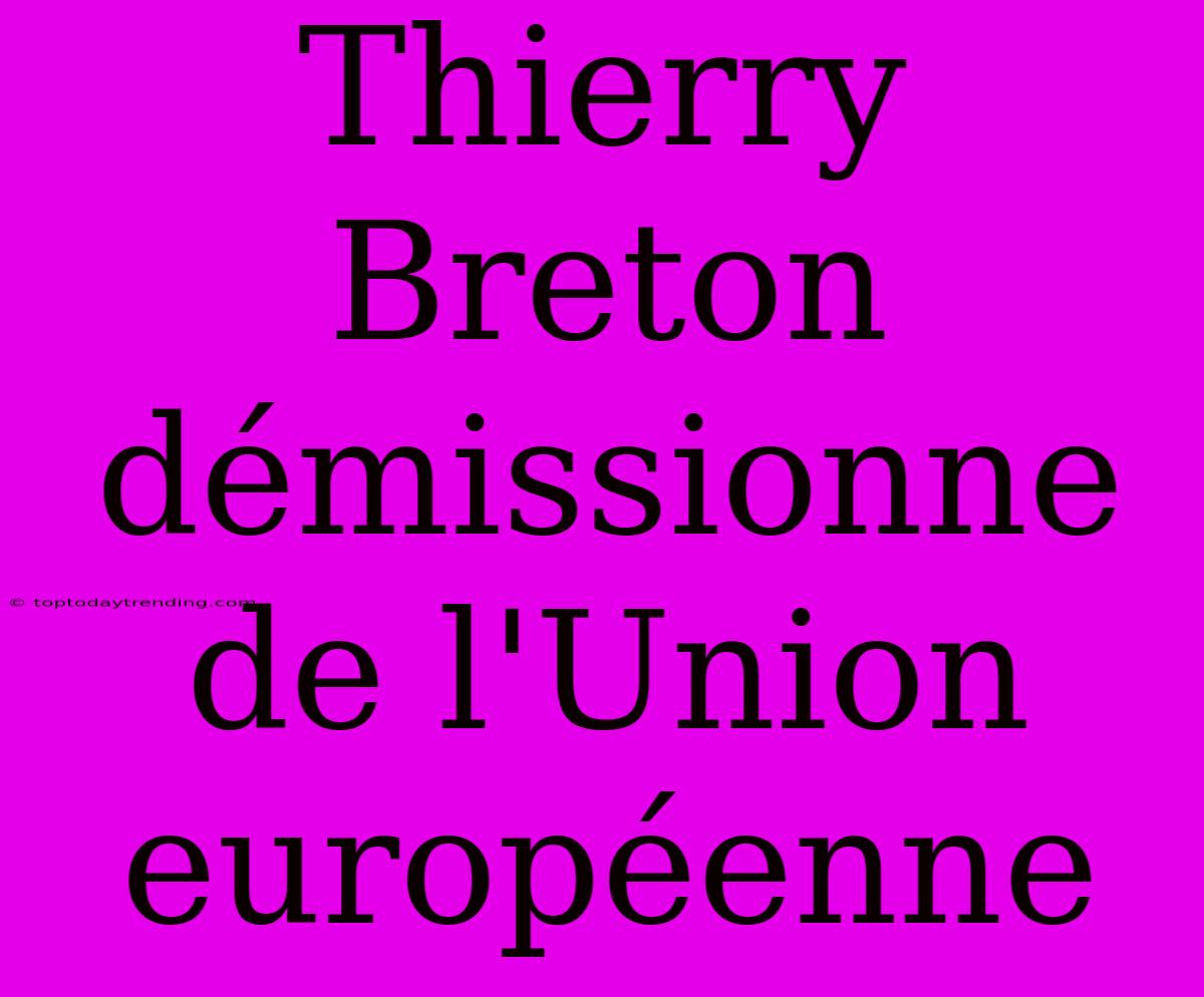 Thierry Breton Démissionne De L'Union Européenne