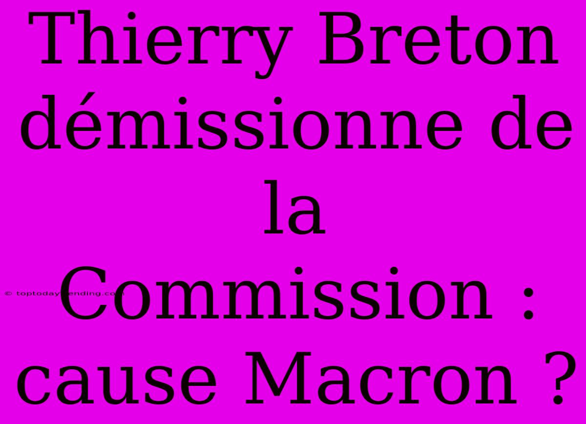 Thierry Breton Démissionne De La Commission : Cause Macron ?