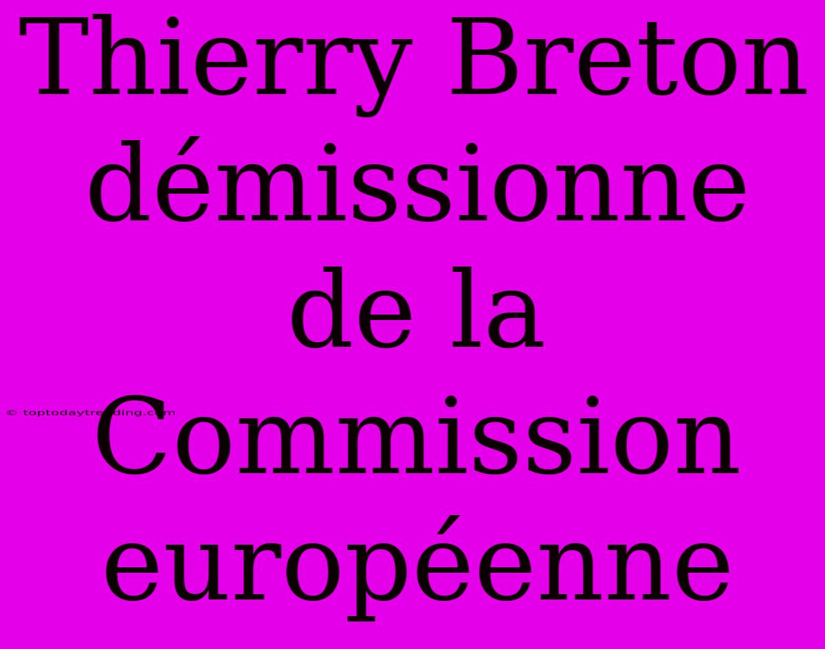 Thierry Breton Démissionne De La Commission Européenne