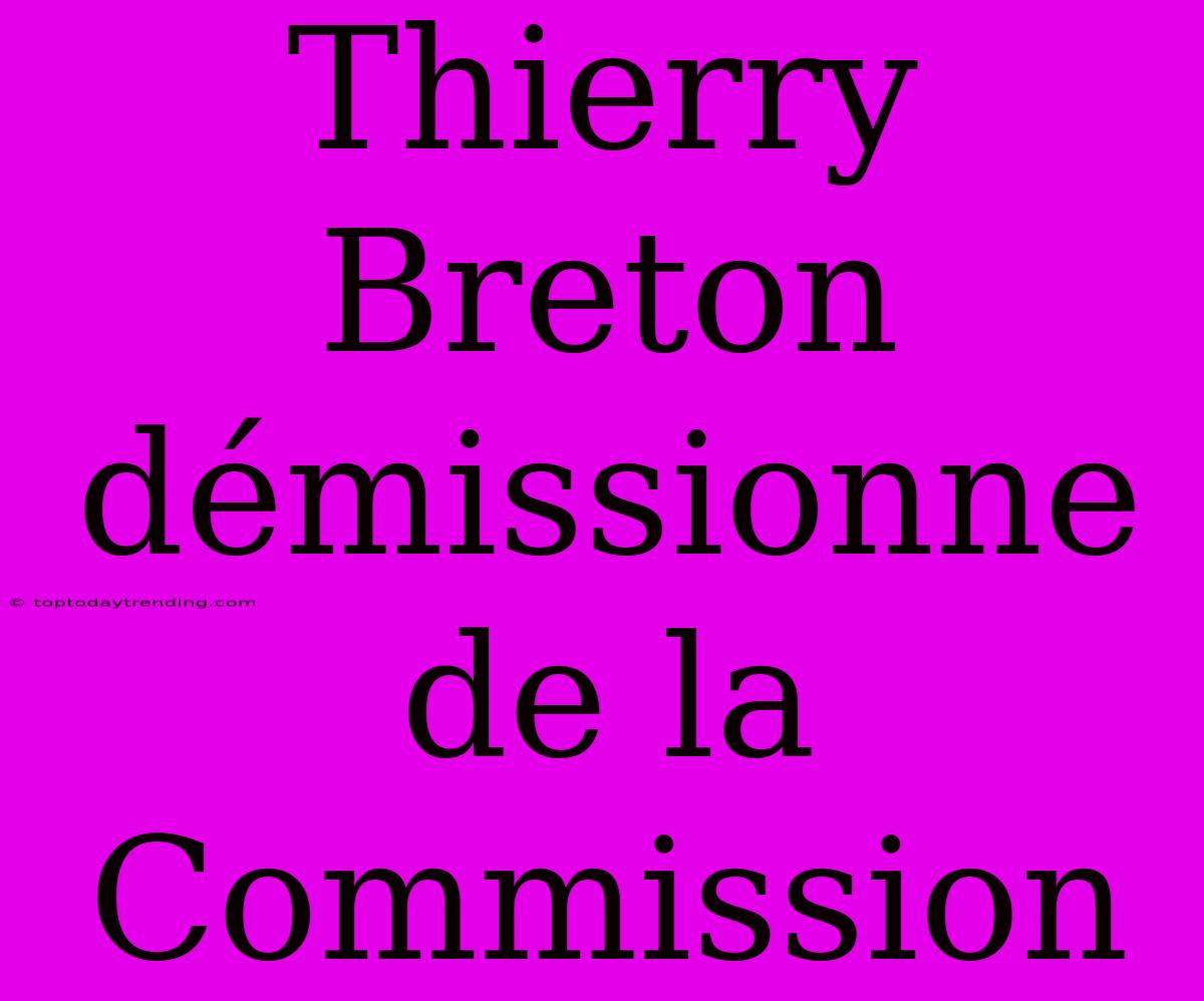 Thierry Breton Démissionne De La Commission