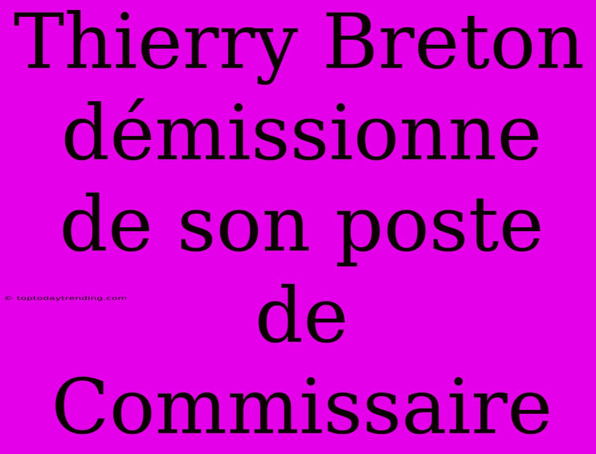 Thierry Breton Démissionne De Son Poste De Commissaire