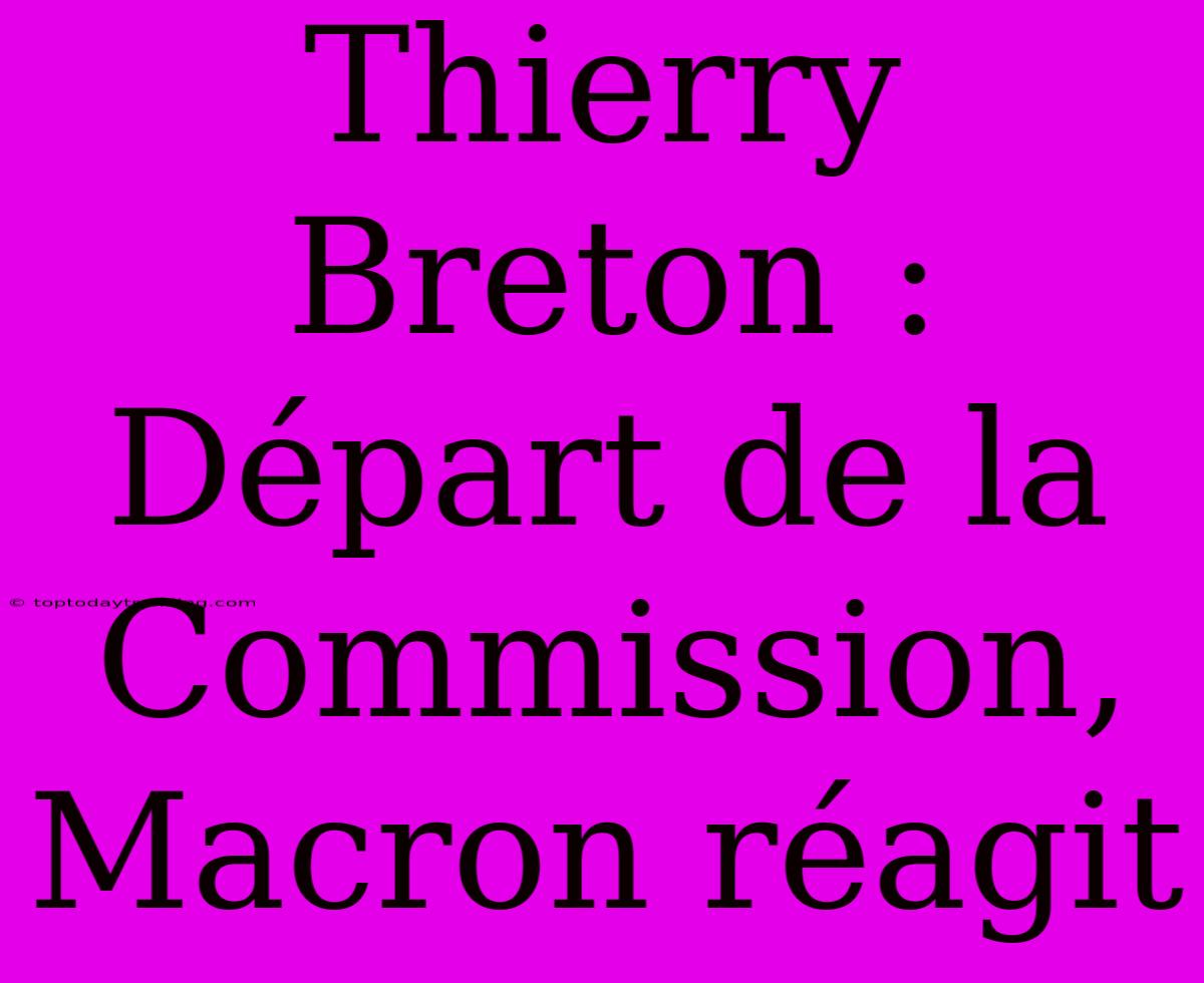 Thierry Breton : Départ De La Commission, Macron Réagit