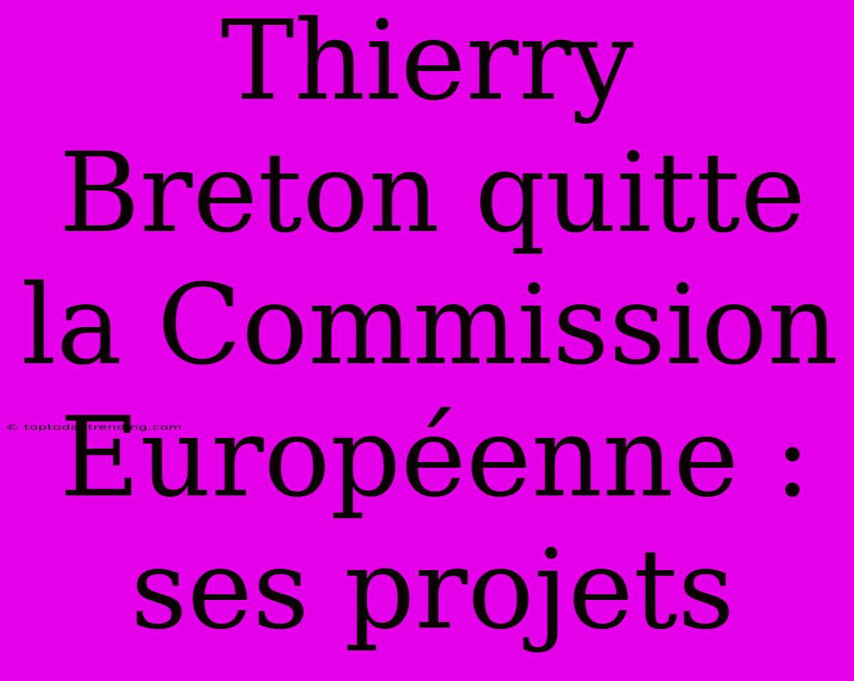 Thierry Breton Quitte La Commission Européenne : Ses Projets