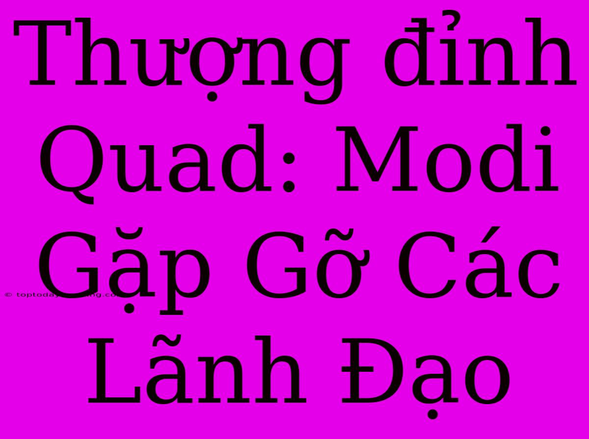 Thượng Đỉnh Quad: Modi Gặp Gỡ Các Lãnh Đạo