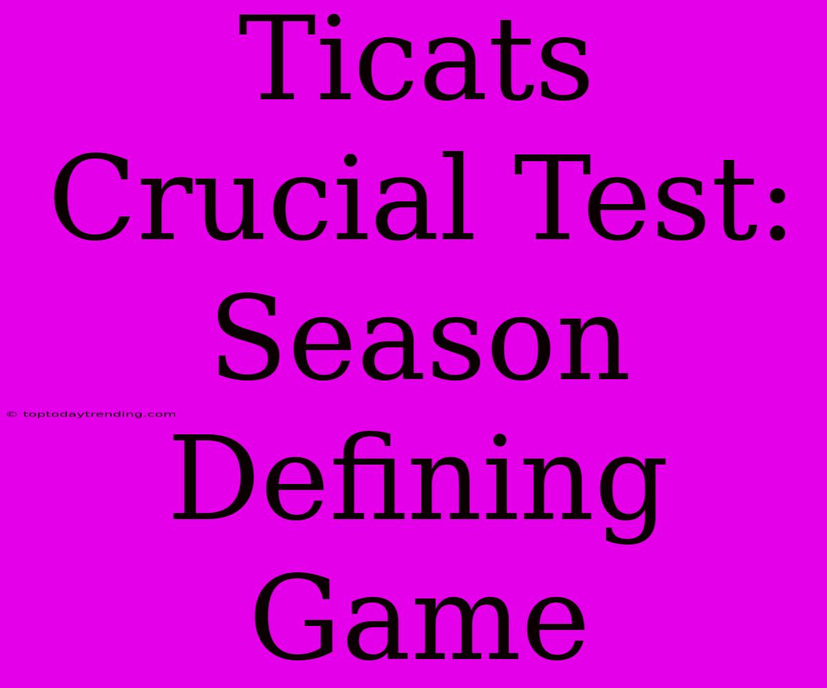 Ticats  Crucial Test:  Season Defining Game