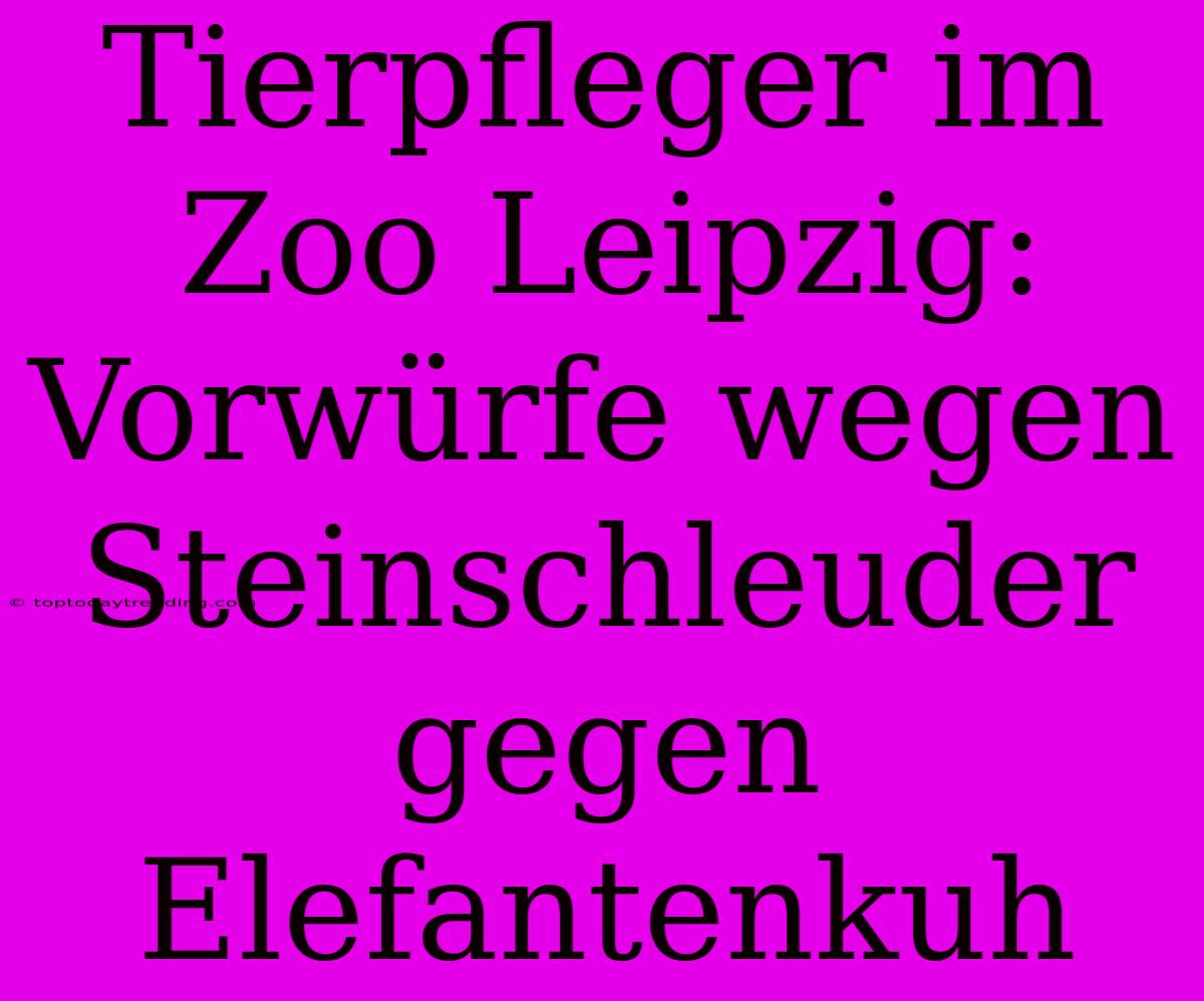 Tierpfleger Im Zoo Leipzig: Vorwürfe Wegen Steinschleuder Gegen Elefantenkuh