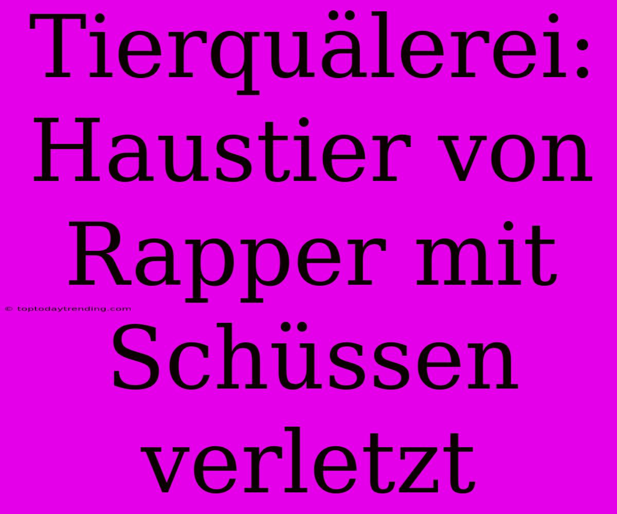 Tierquälerei: Haustier Von Rapper Mit Schüssen Verletzt