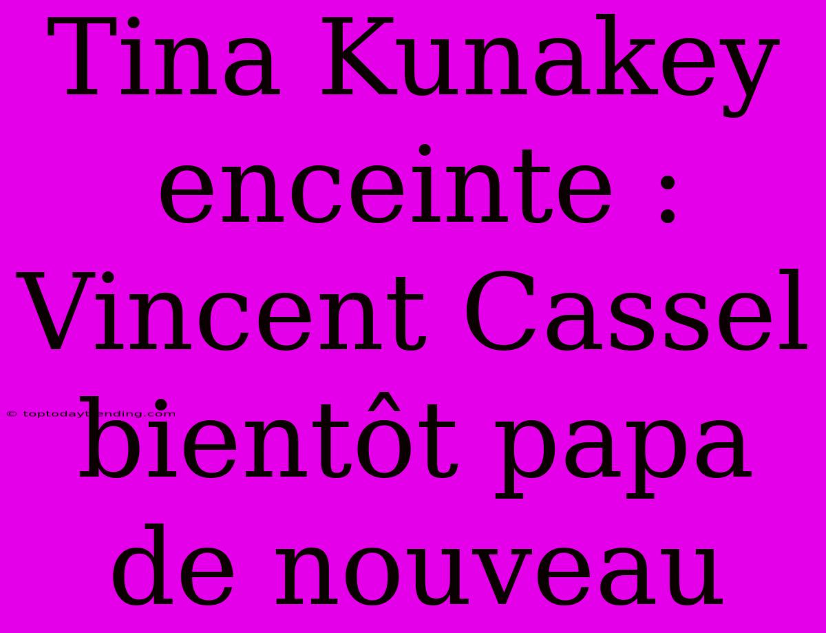 Tina Kunakey Enceinte : Vincent Cassel Bientôt Papa De Nouveau