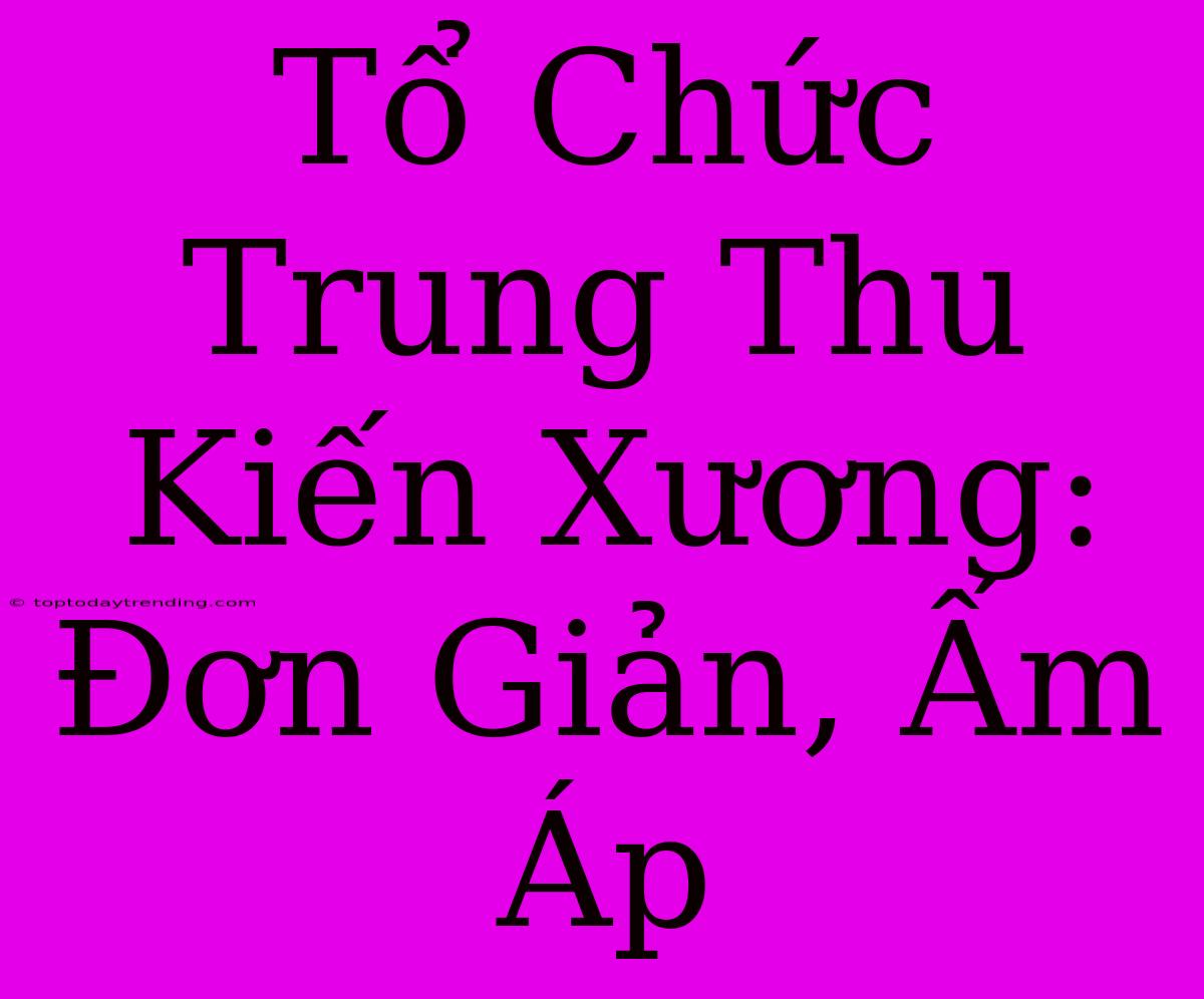 Tổ Chức Trung Thu Kiến Xương: Đơn Giản, Ấm Áp