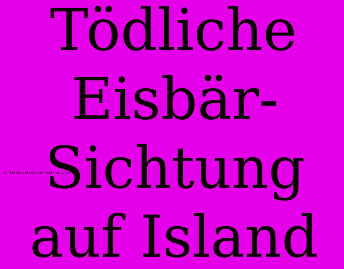 Tödliche Eisbär-Sichtung Auf Island