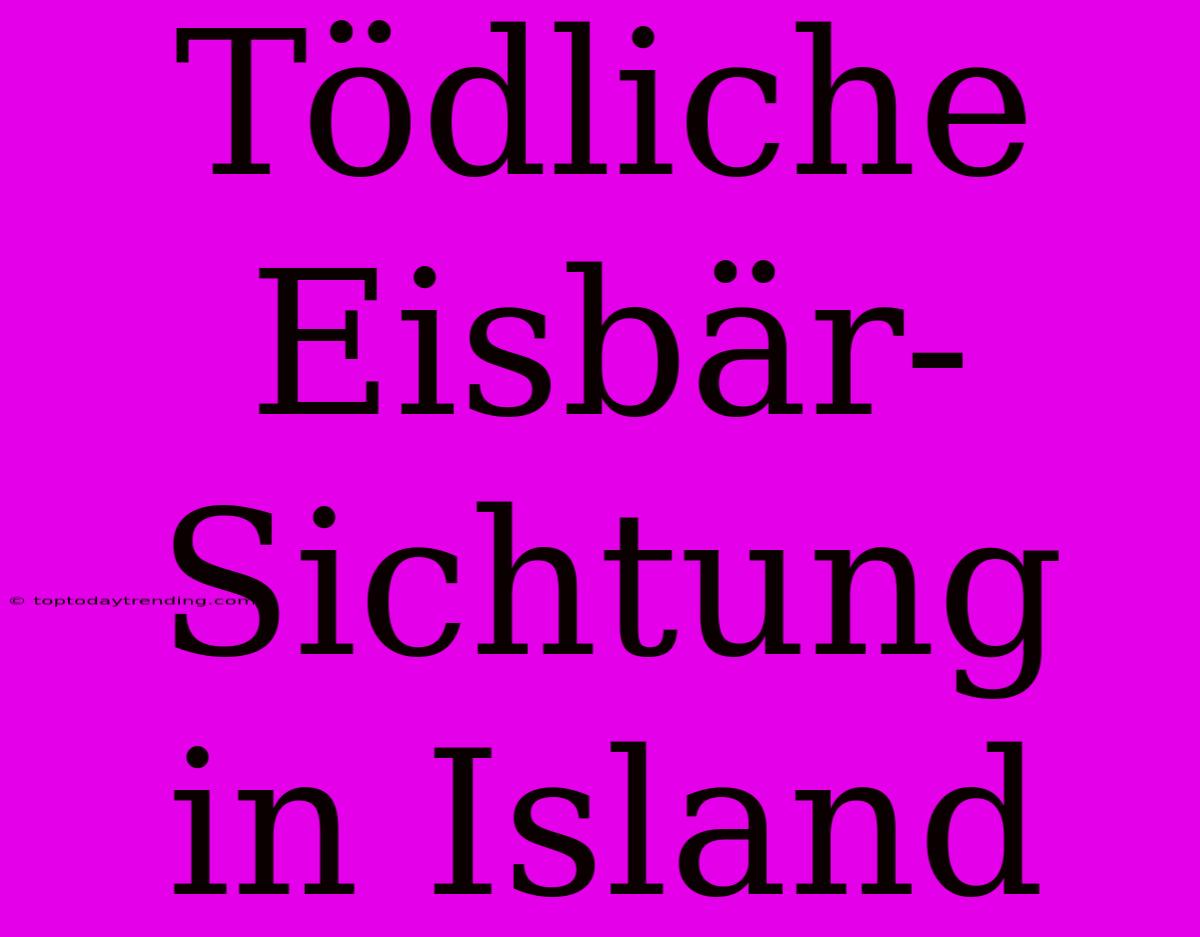 Tödliche Eisbär-Sichtung In Island