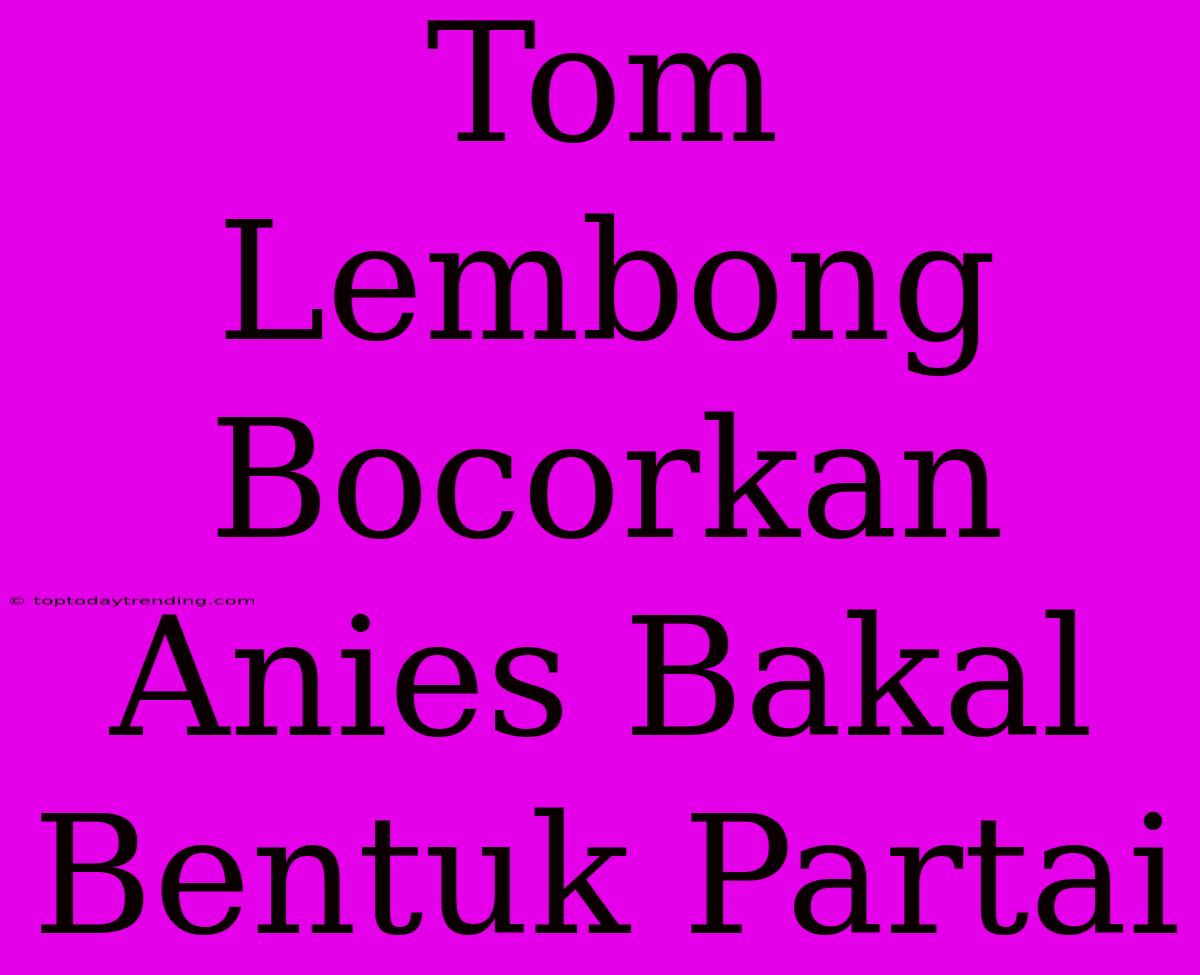 Tom Lembong Bocorkan Anies Bakal Bentuk Partai