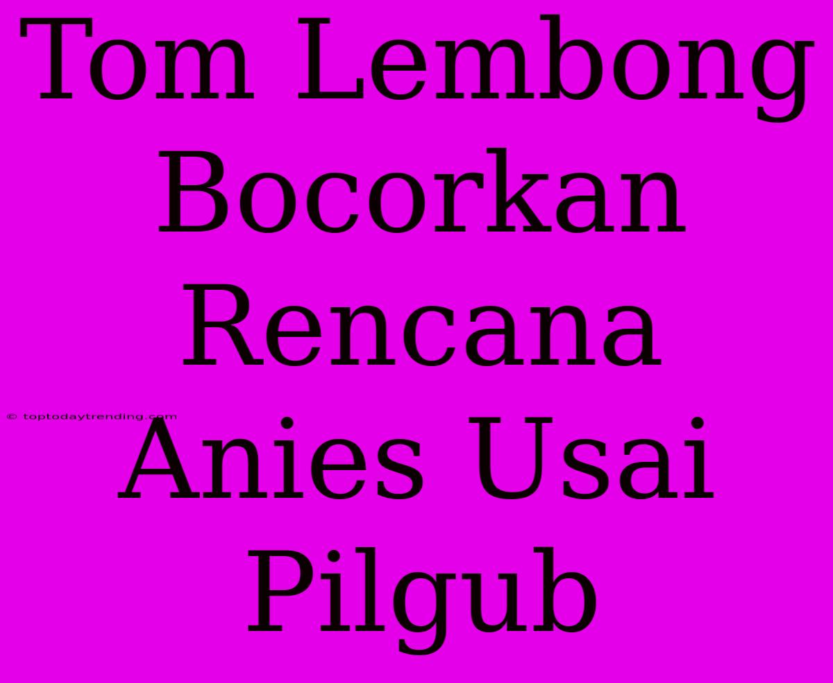 Tom Lembong Bocorkan Rencana Anies Usai Pilgub