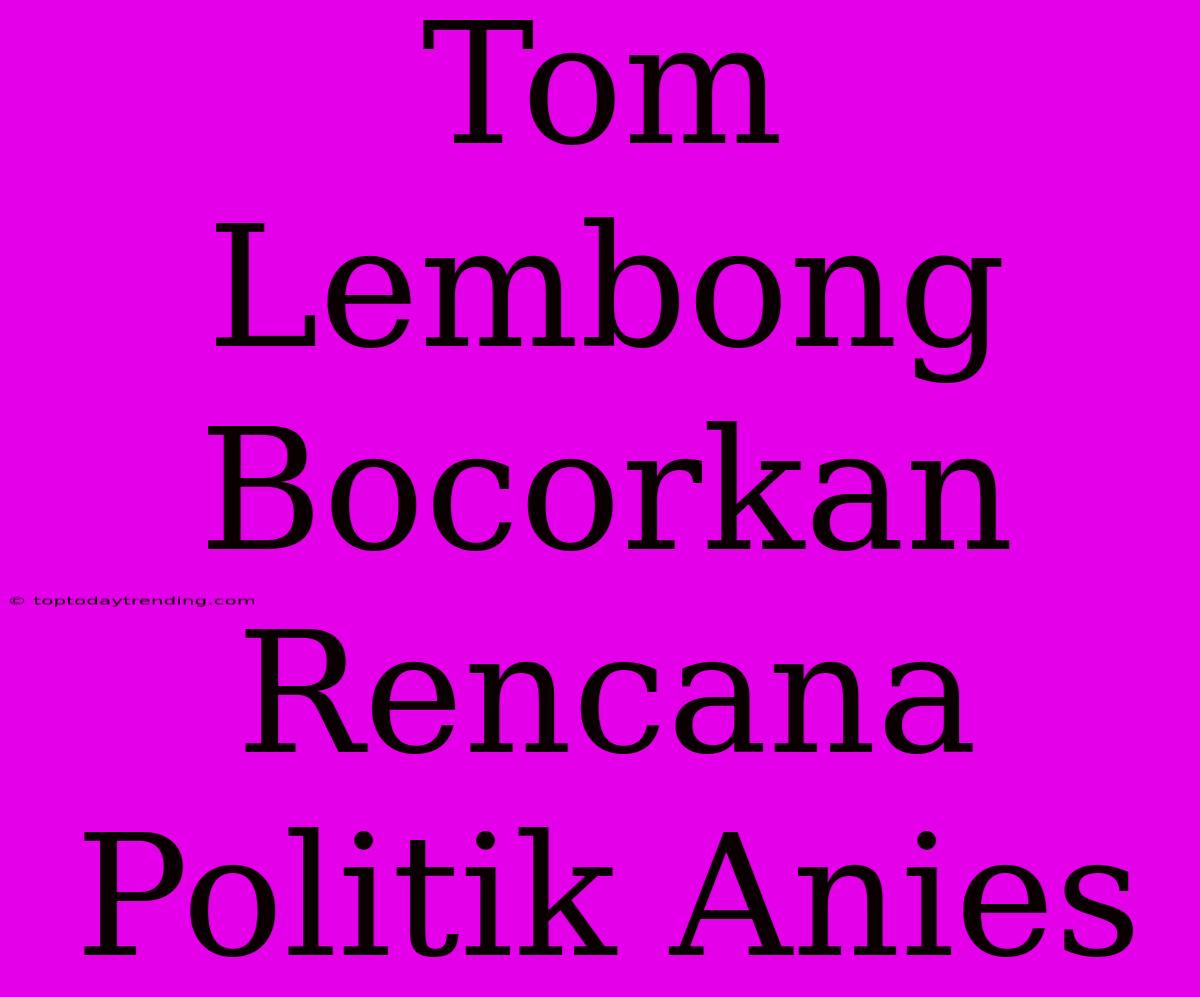 Tom Lembong Bocorkan Rencana Politik Anies