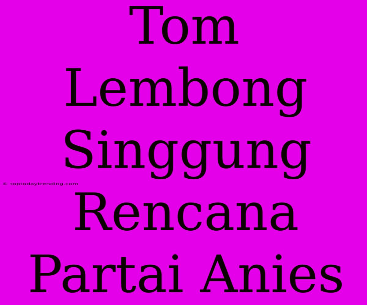 Tom Lembong Singgung Rencana Partai Anies