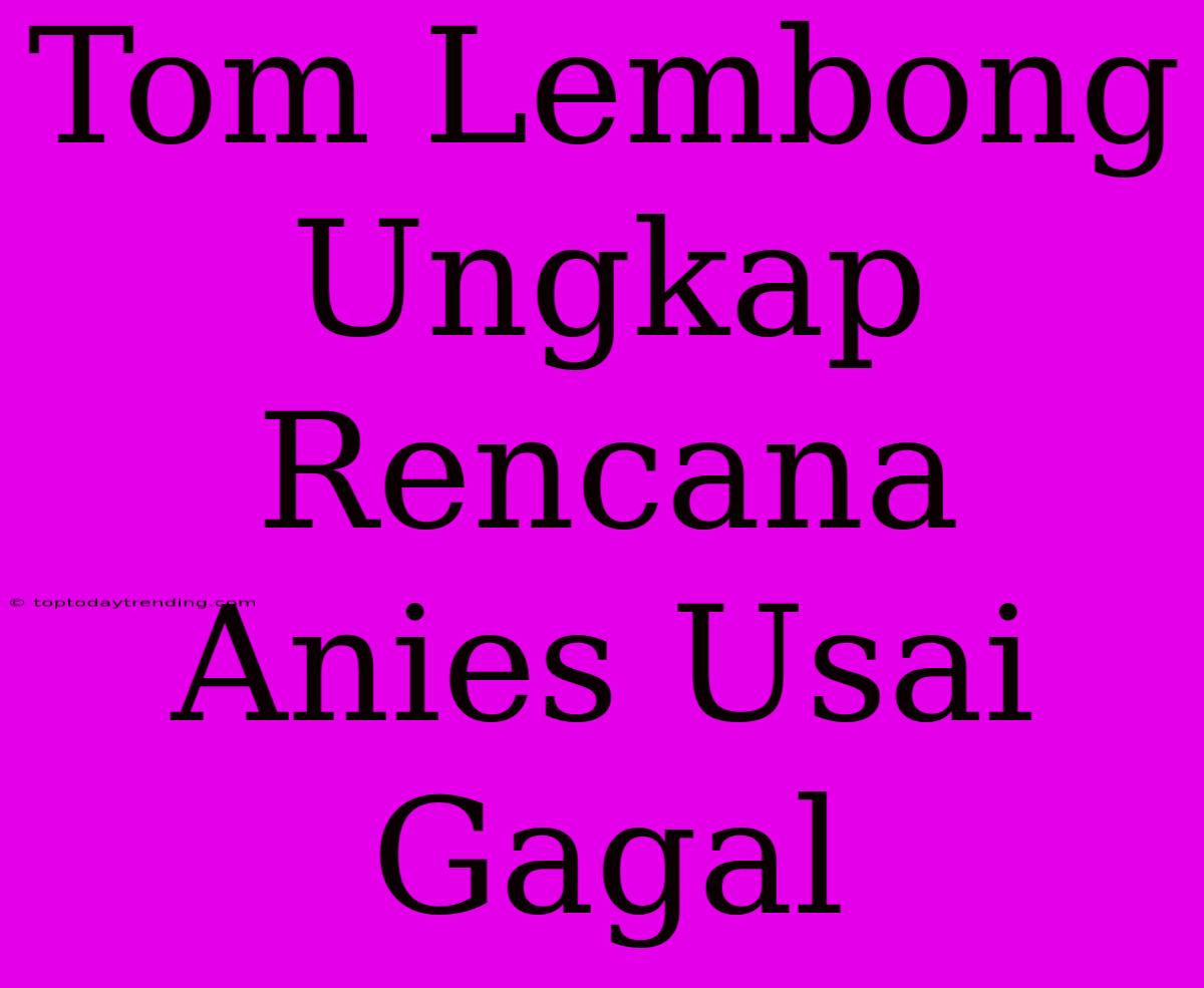 Tom Lembong Ungkap Rencana Anies Usai Gagal