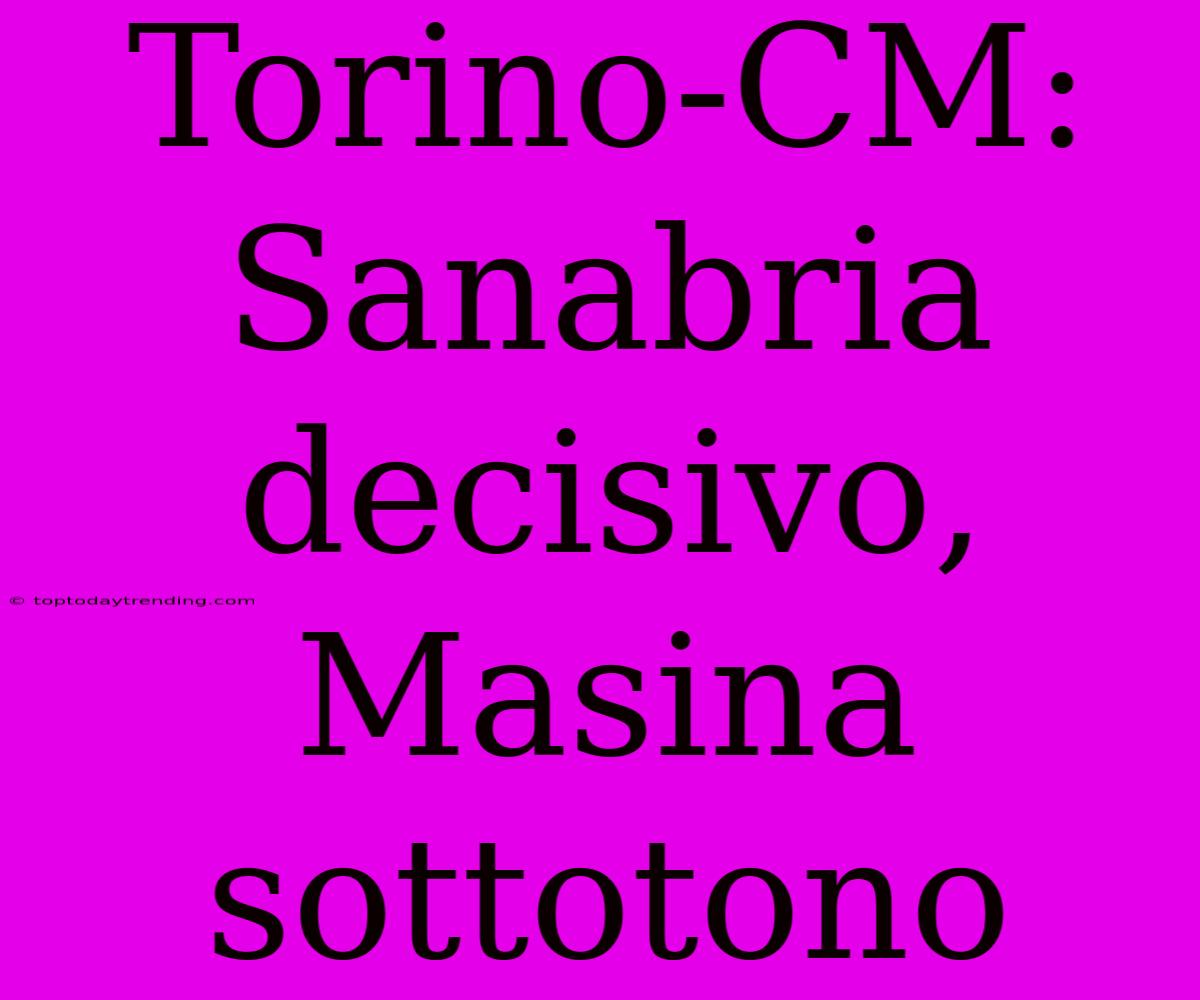 Torino-CM: Sanabria Decisivo, Masina Sottotono