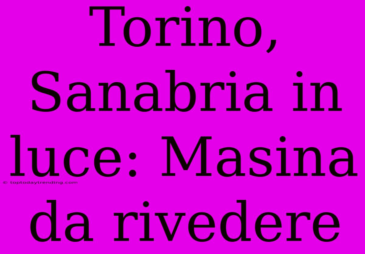 Torino, Sanabria In Luce: Masina Da Rivedere