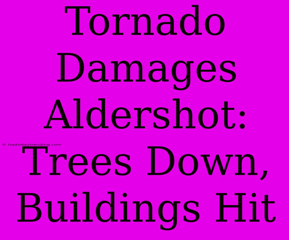 Tornado Damages Aldershot: Trees Down, Buildings Hit