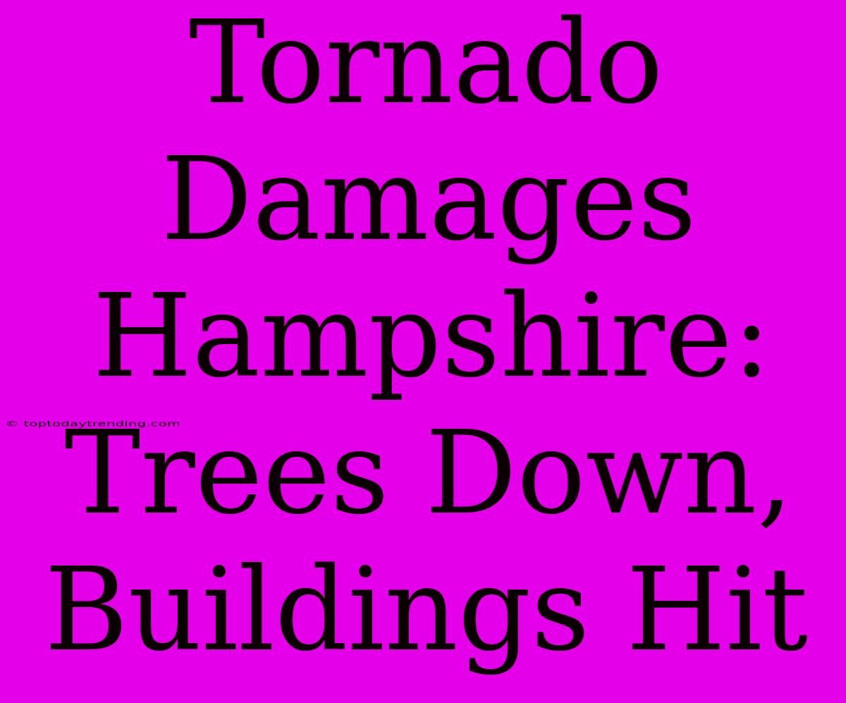 Tornado Damages Hampshire: Trees Down, Buildings Hit