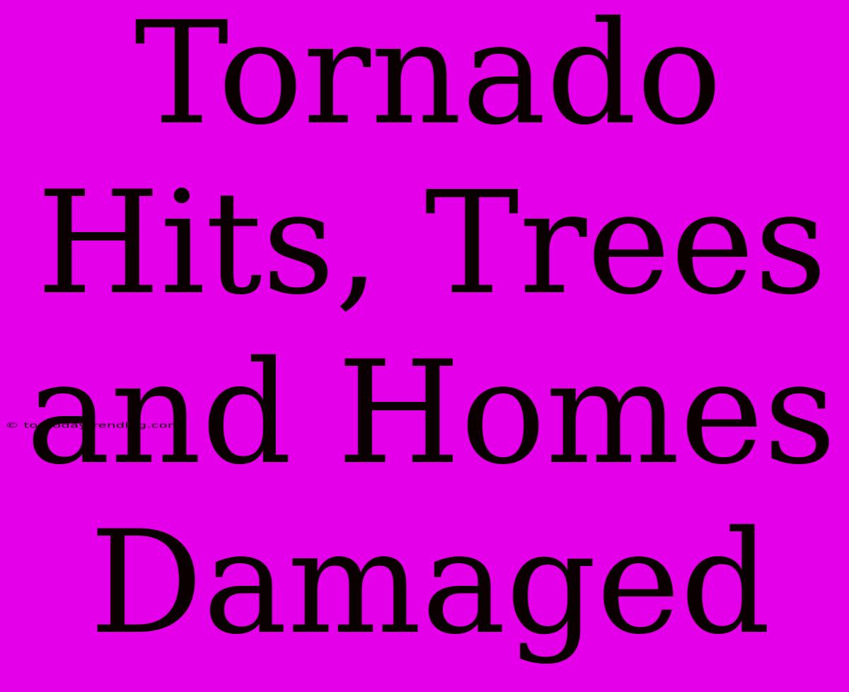 Tornado Hits, Trees And Homes Damaged