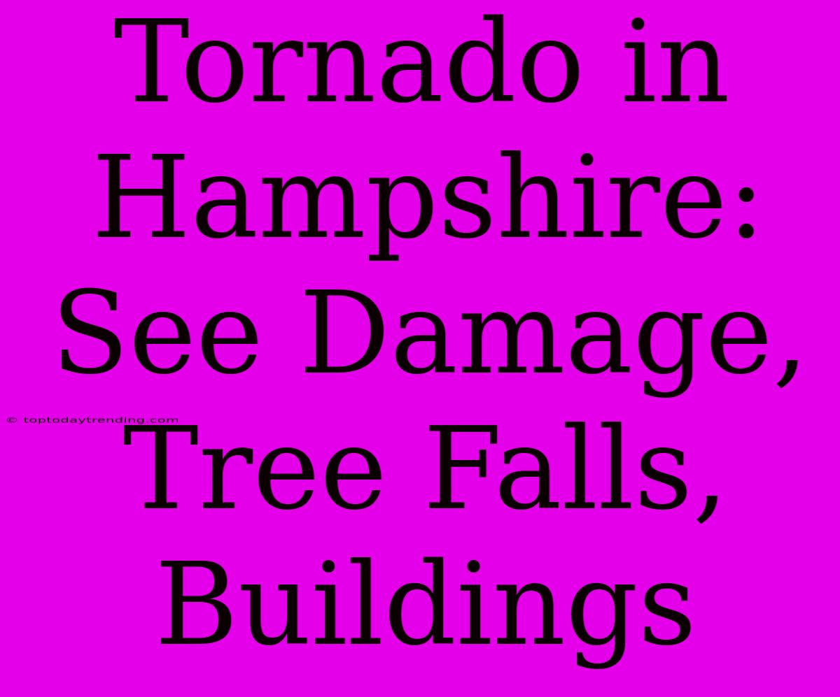 Tornado In Hampshire: See Damage, Tree Falls, Buildings