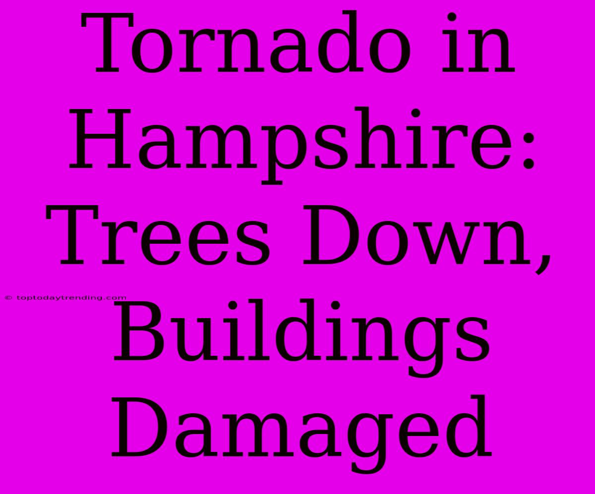 Tornado In Hampshire: Trees Down, Buildings Damaged