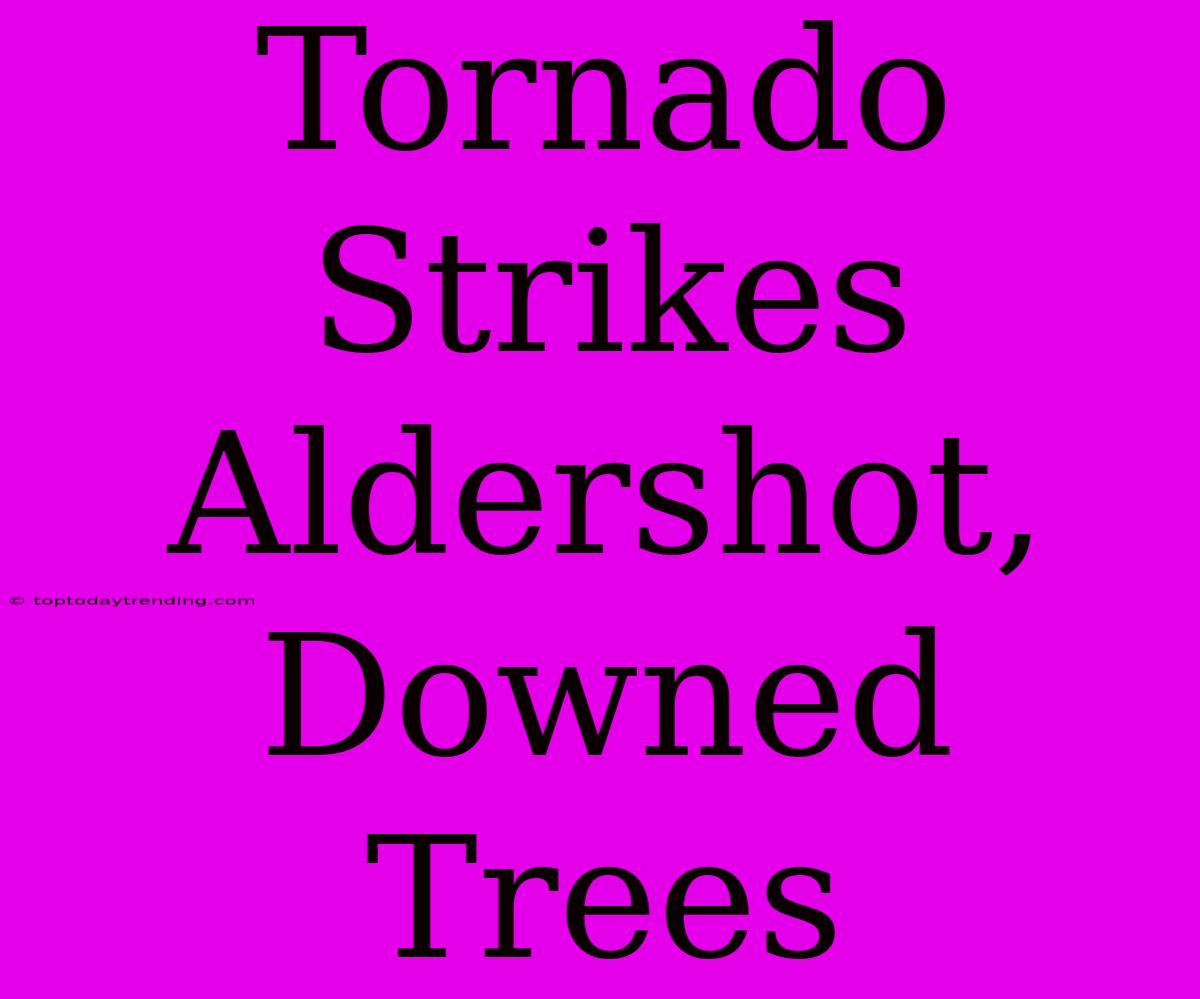 Tornado Strikes Aldershot, Downed Trees