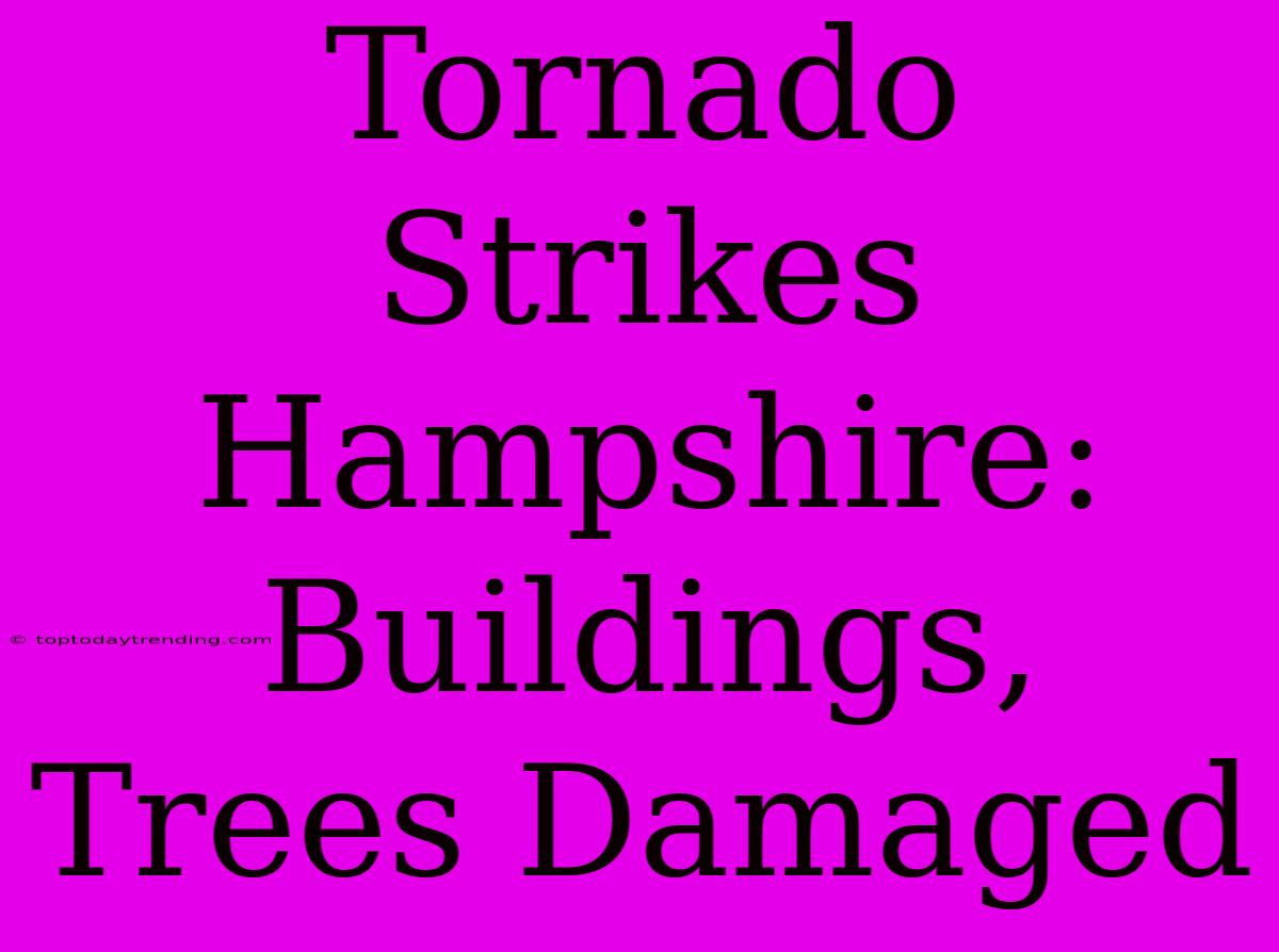 Tornado Strikes Hampshire: Buildings, Trees Damaged