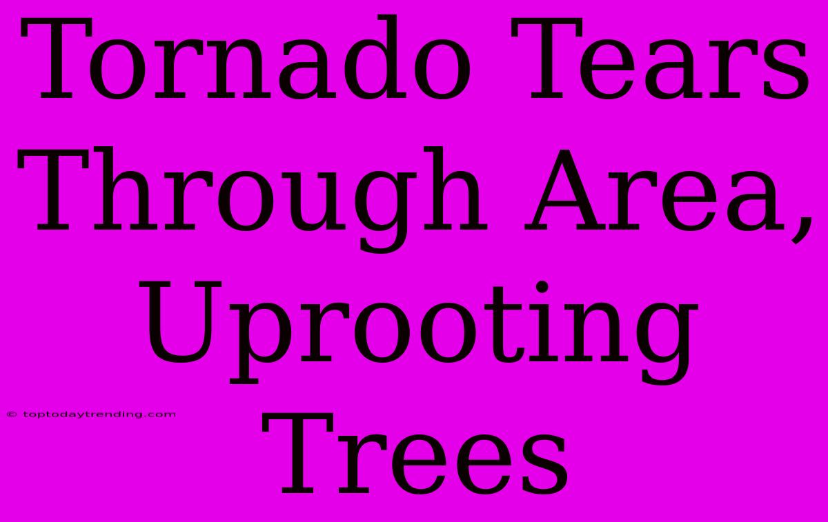 Tornado Tears Through Area, Uprooting Trees