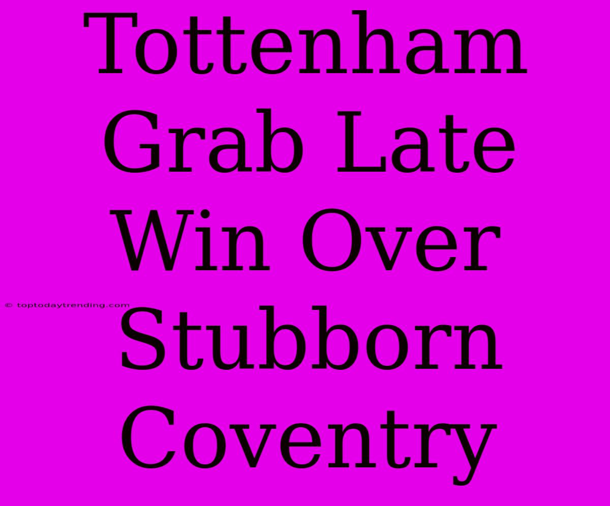 Tottenham Grab Late Win Over Stubborn Coventry