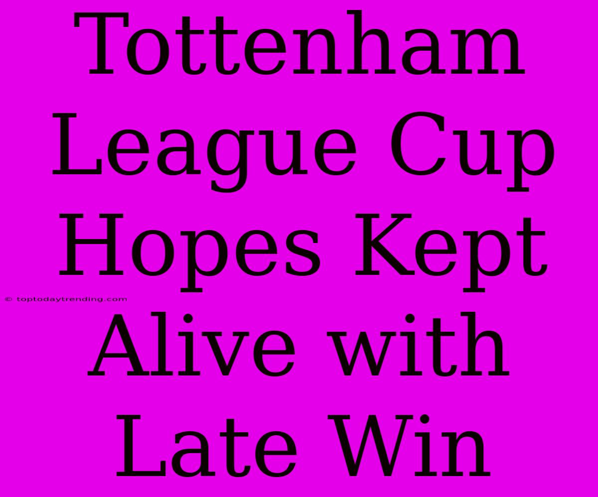 Tottenham League Cup Hopes Kept Alive With Late Win