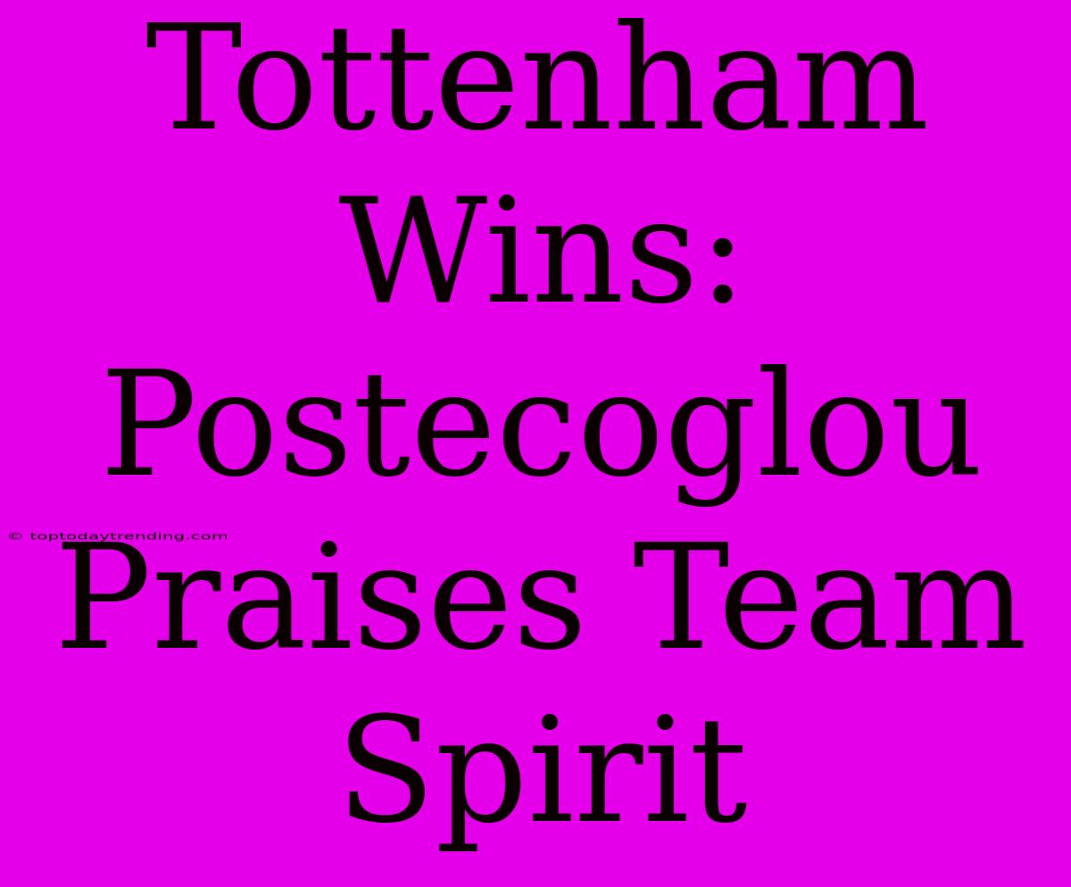 Tottenham Wins: Postecoglou Praises Team Spirit