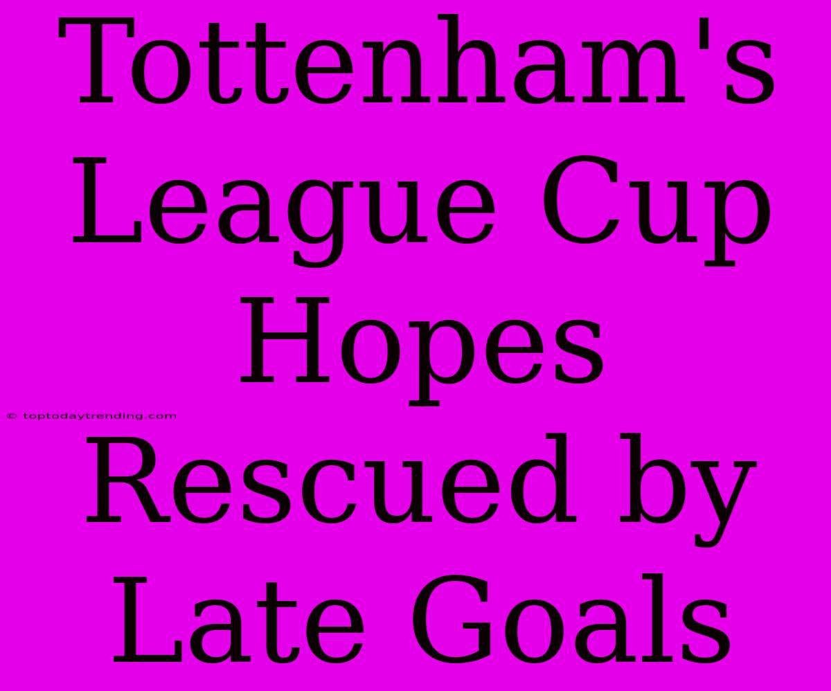 Tottenham's League Cup Hopes Rescued By Late Goals