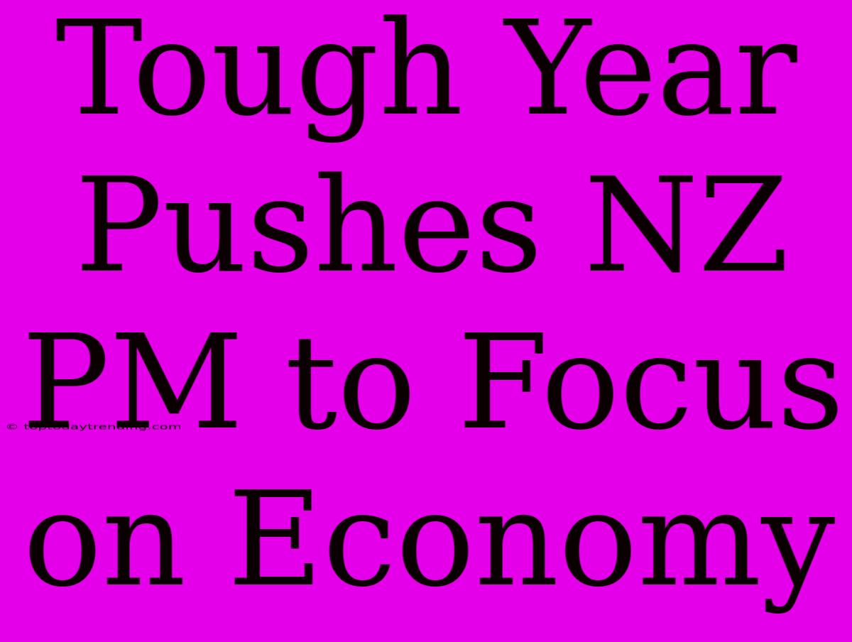 Tough Year Pushes NZ PM To Focus On Economy