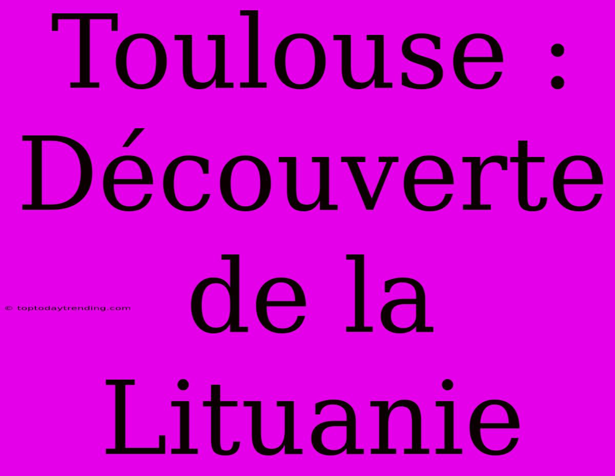 Toulouse :  Découverte De La Lituanie