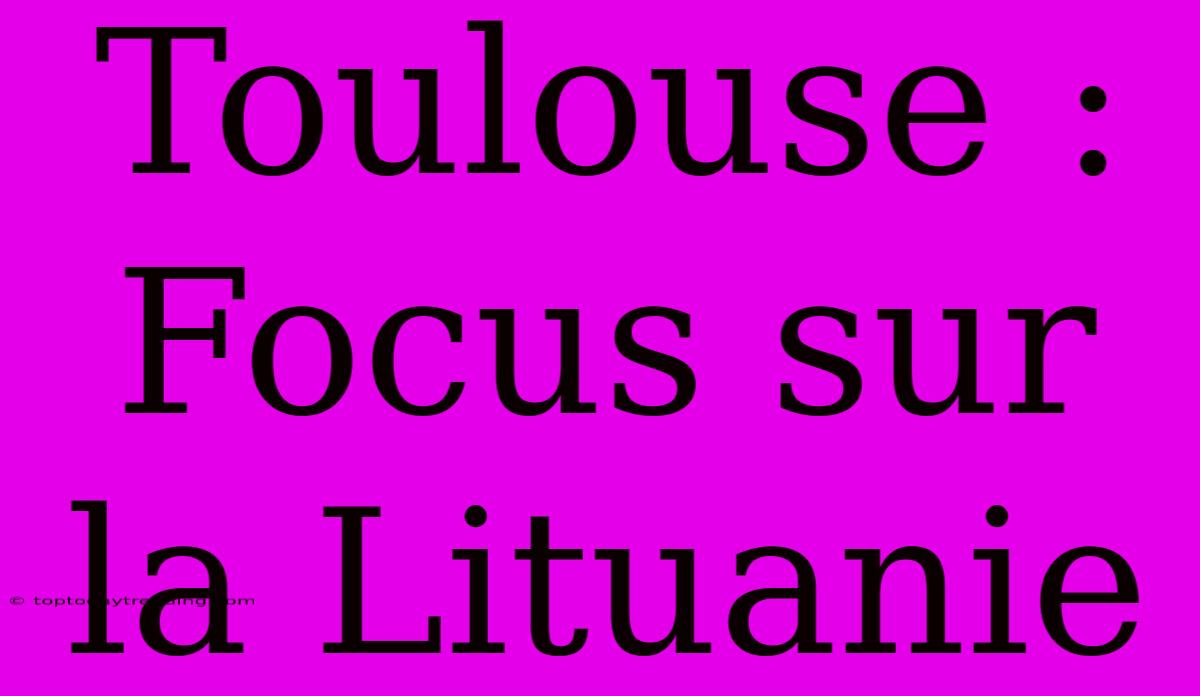 Toulouse :  Focus Sur La Lituanie